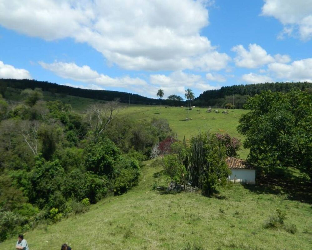 Sítio - Foto 5