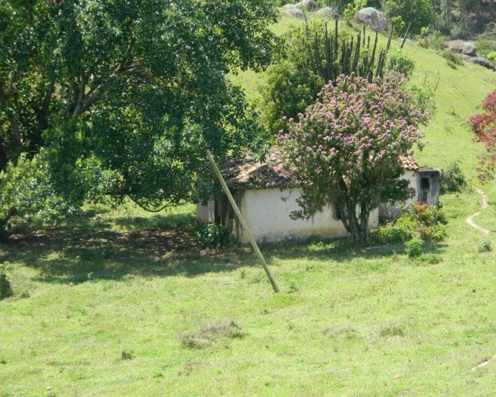 Sítio - Foto 16