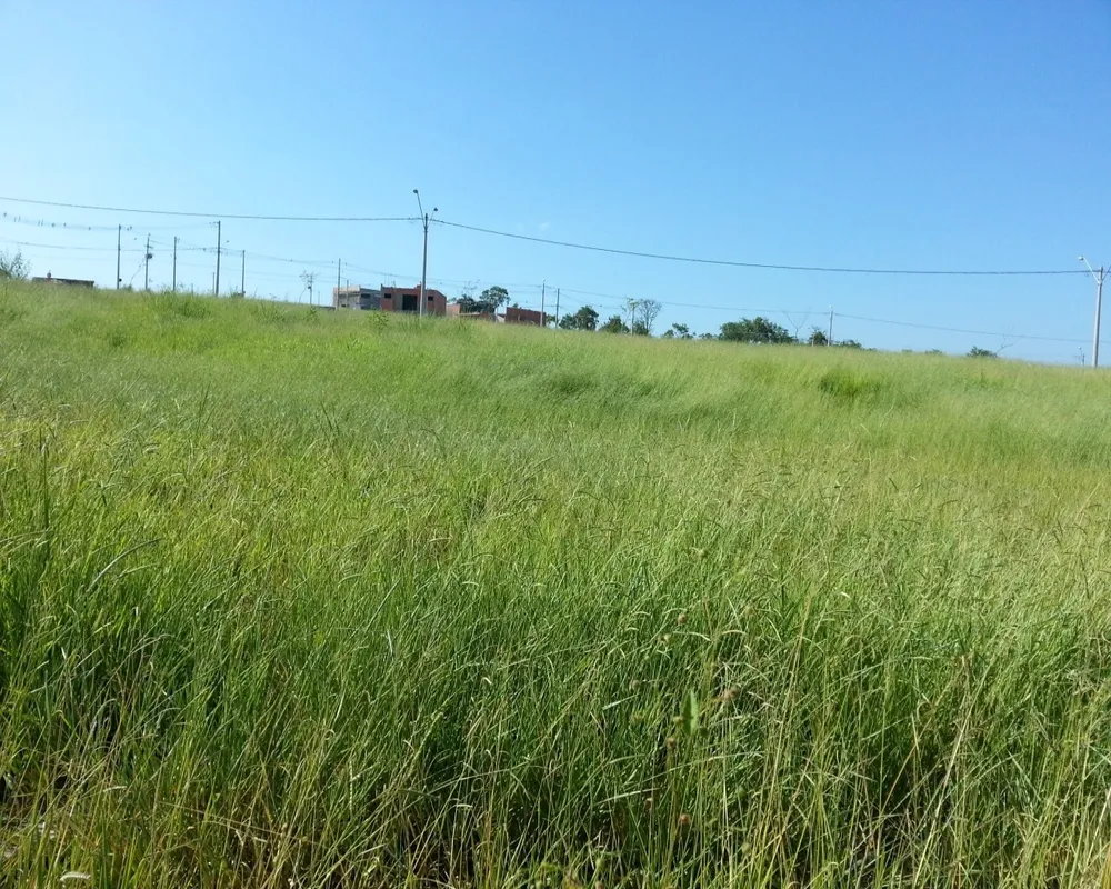 Terreno - Foto 1