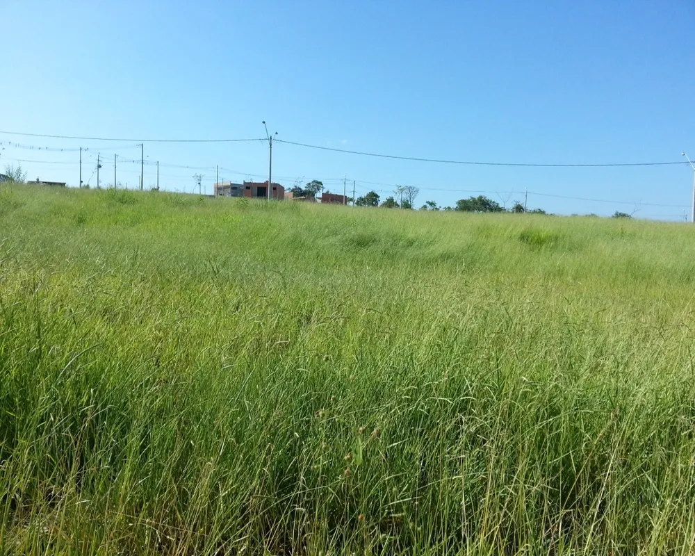 Terreno - Foto 2