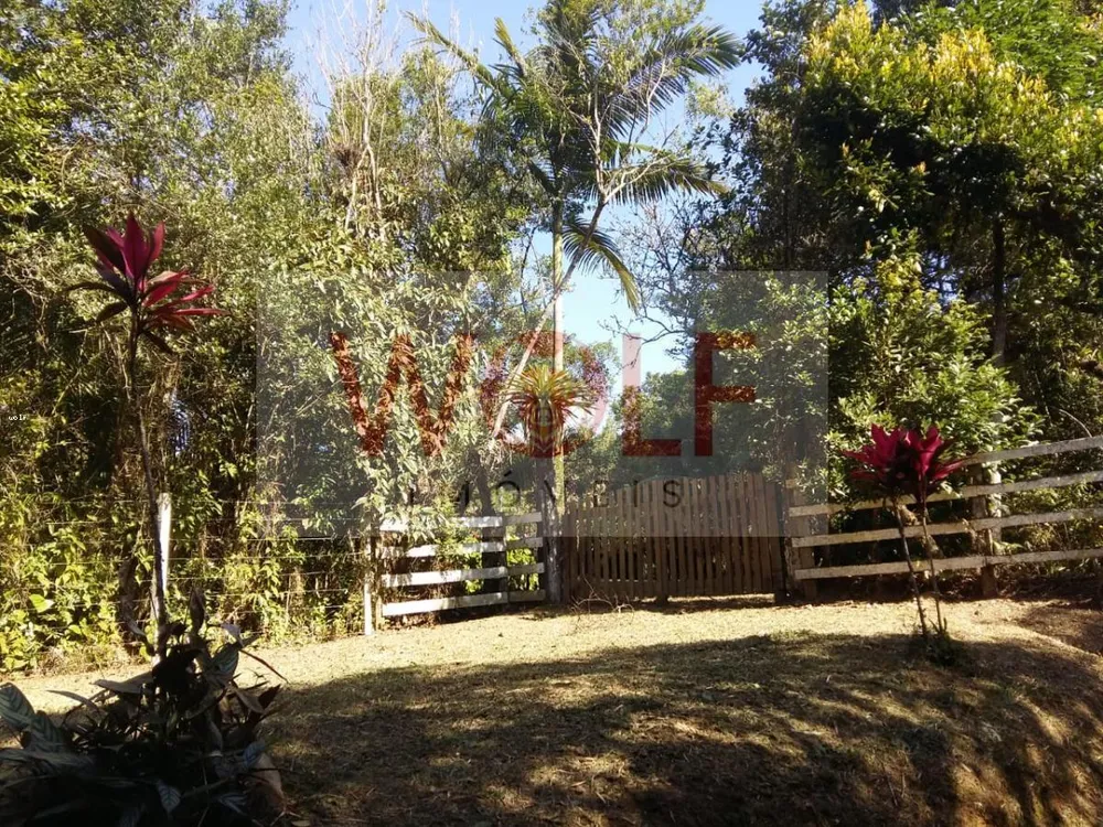 Terreno, 1 hectares - Foto 7