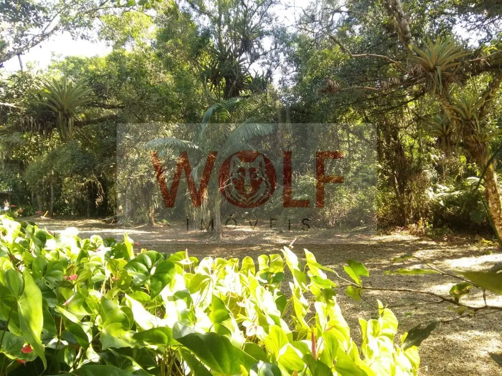 Terreno, 1 hectares - Foto 4