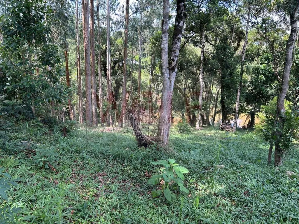 Chácara, 3 quartos, 6295 m² - Foto 11