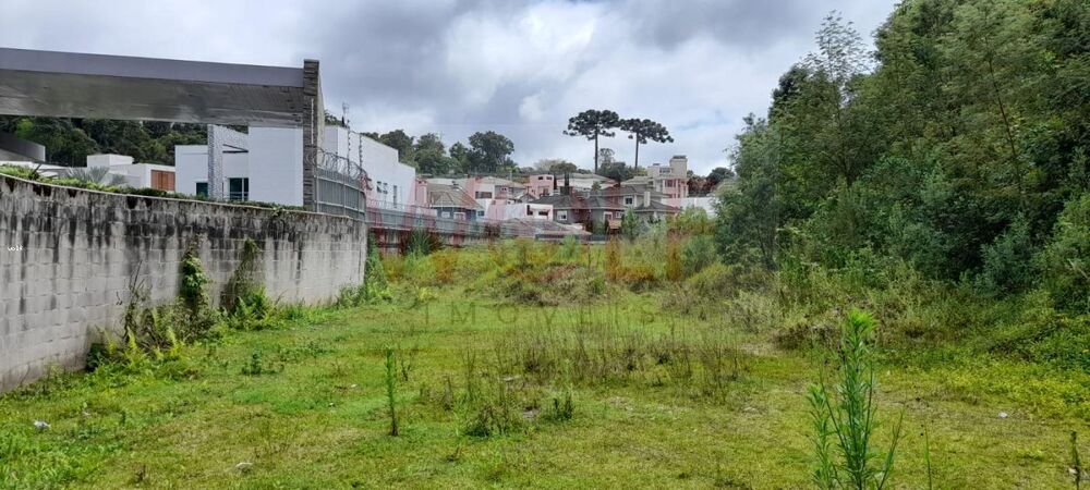 Loteamento e Condomínio, 4596 m² - Foto 16