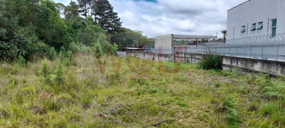 Loteamento e Condomínio, 4596 m² - Foto 7