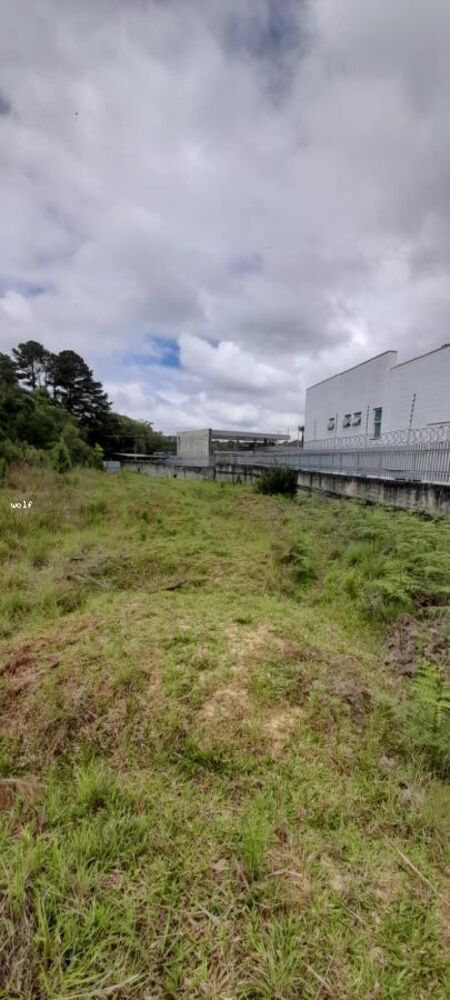 Loteamento e Condomínio, 4596 m² - Foto 1