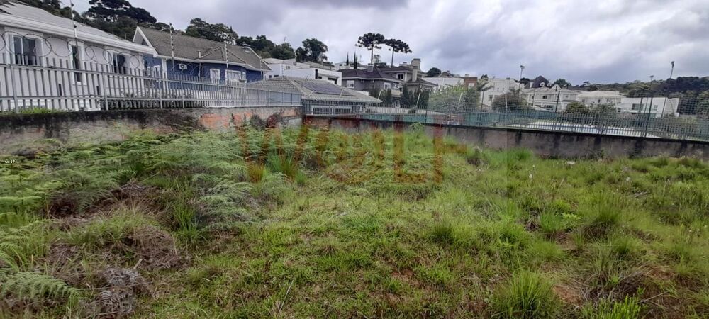 Loteamento e Condomínio, 4596 m² - Foto 3