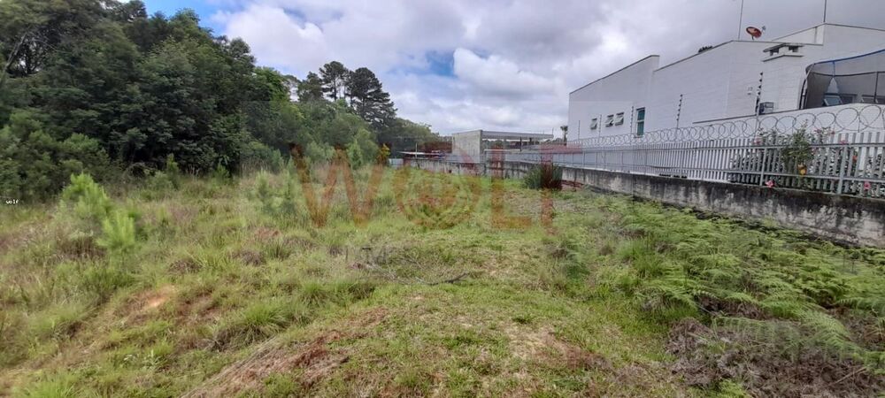 Loteamento e Condomínio, 4596 m² - Foto 6