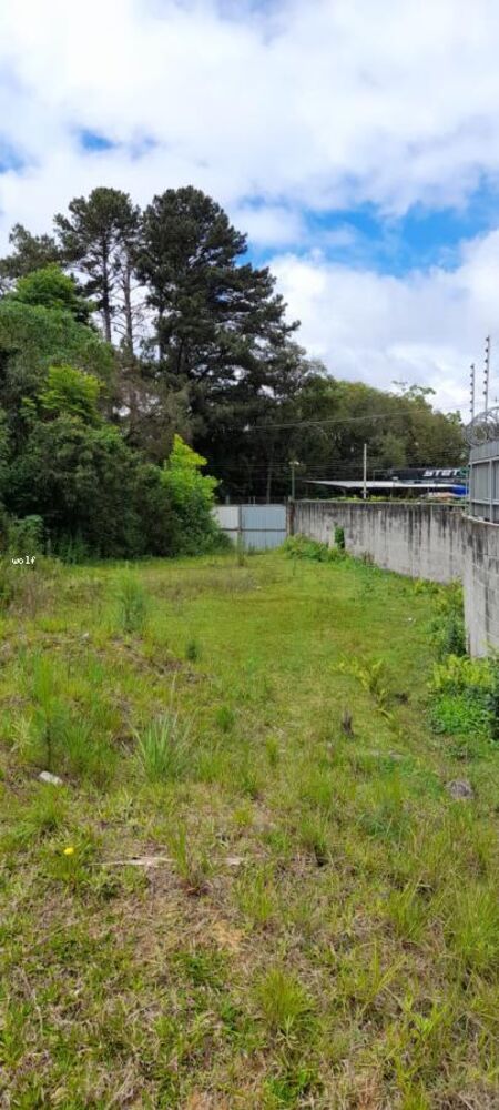 Loteamento e Condomínio, 4596 m² - Foto 9