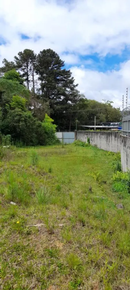 Terreno, 4596 m² - Foto 12