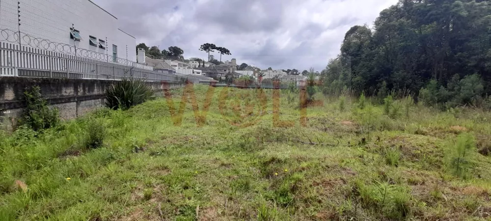 Terreno, 4596 m² - Foto 8