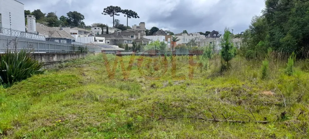 Terreno, 4596 m² - Foto 11