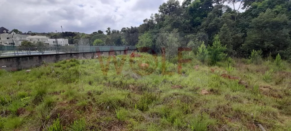 Terreno, 4596 m² - Foto 7