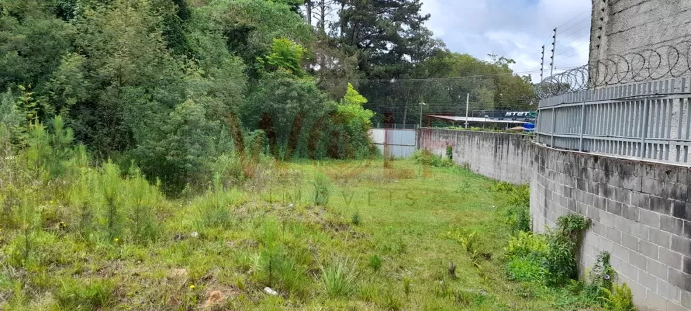 Terreno, 4596 m² - Foto 6