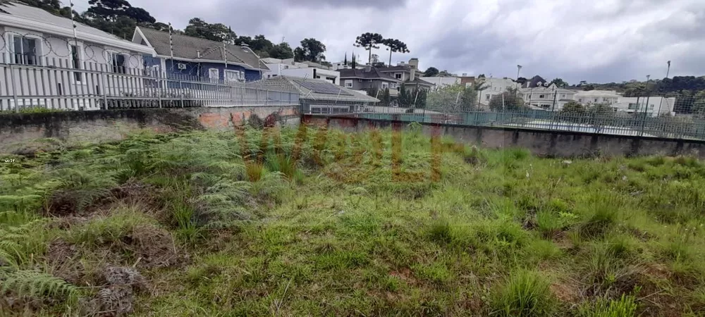 Terreno, 4596 m² - Foto 3