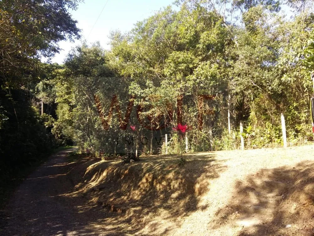 Terreno, 1 hectares - Foto 5