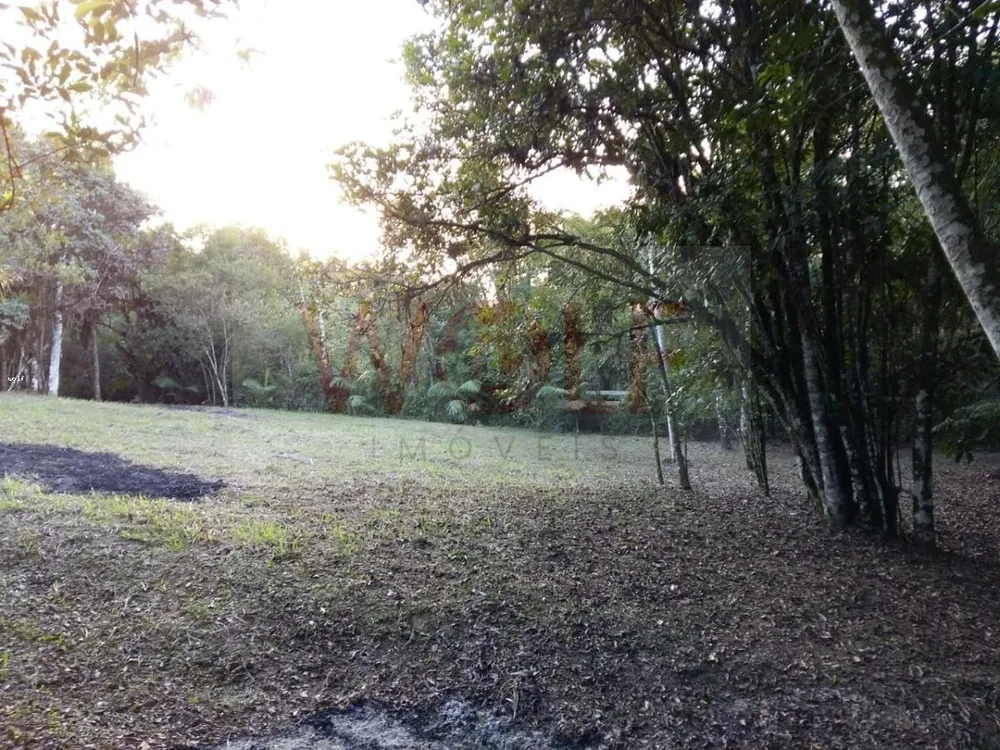 Terreno, 1 hectares - Foto 3