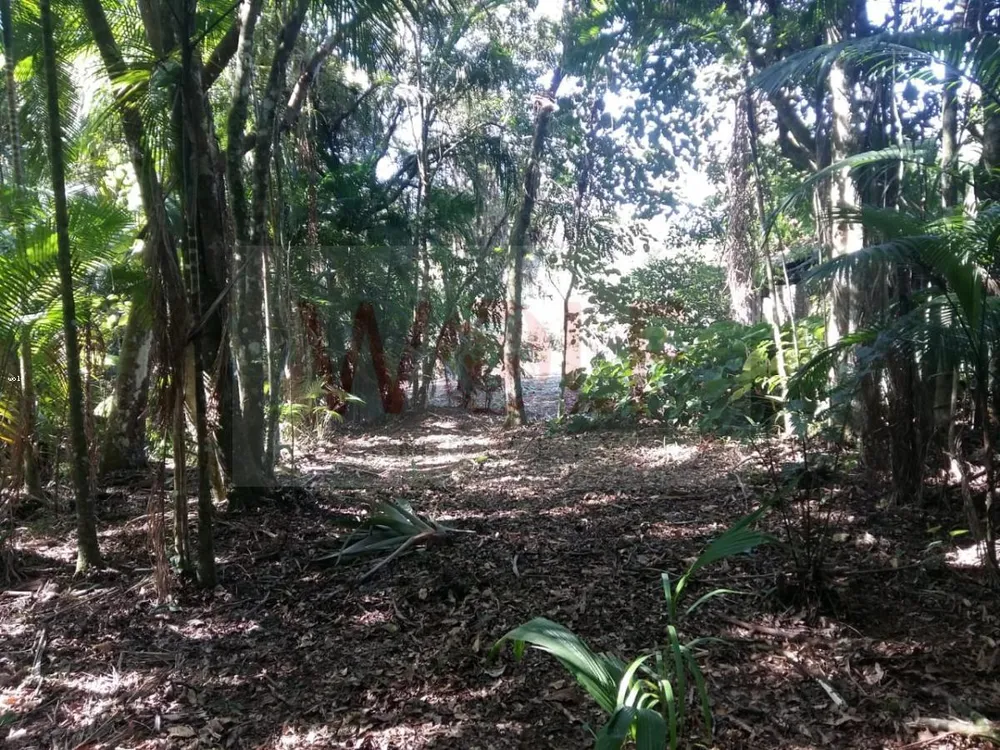 Terreno, 1 hectares - Foto 16