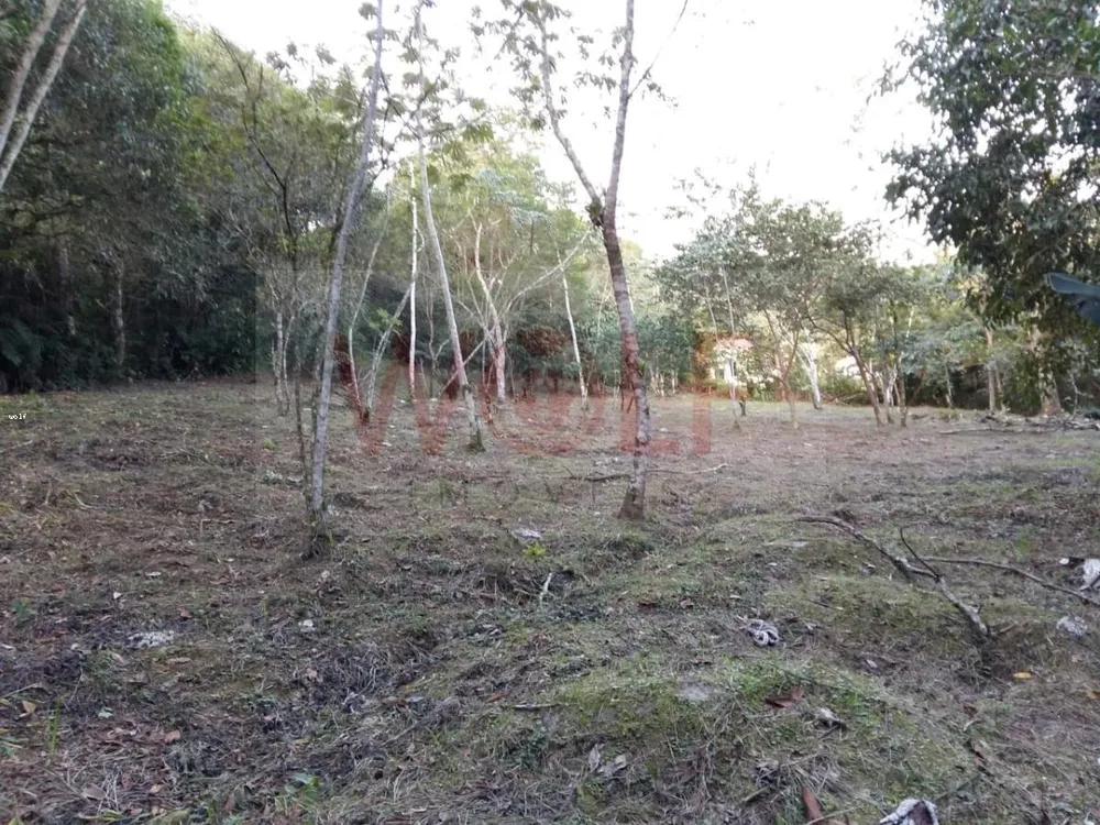 Terreno, 1 hectares - Foto 12