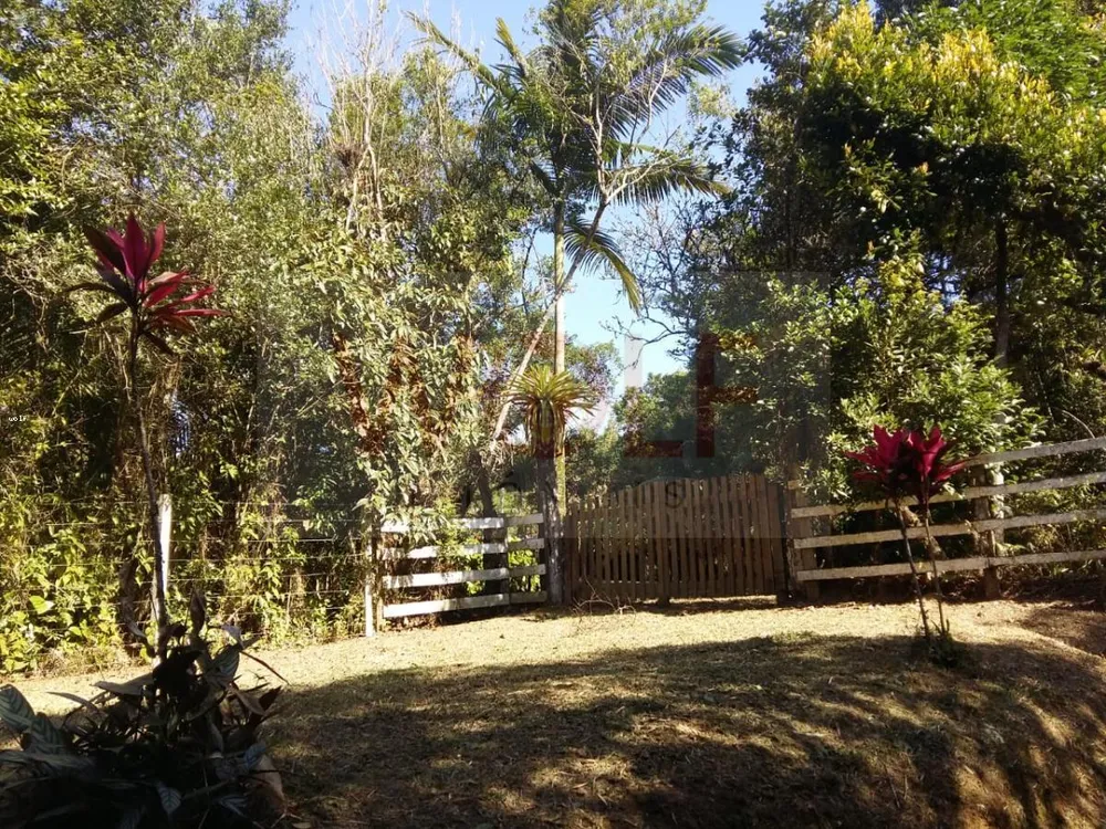 Terreno, 1 hectares - Foto 2