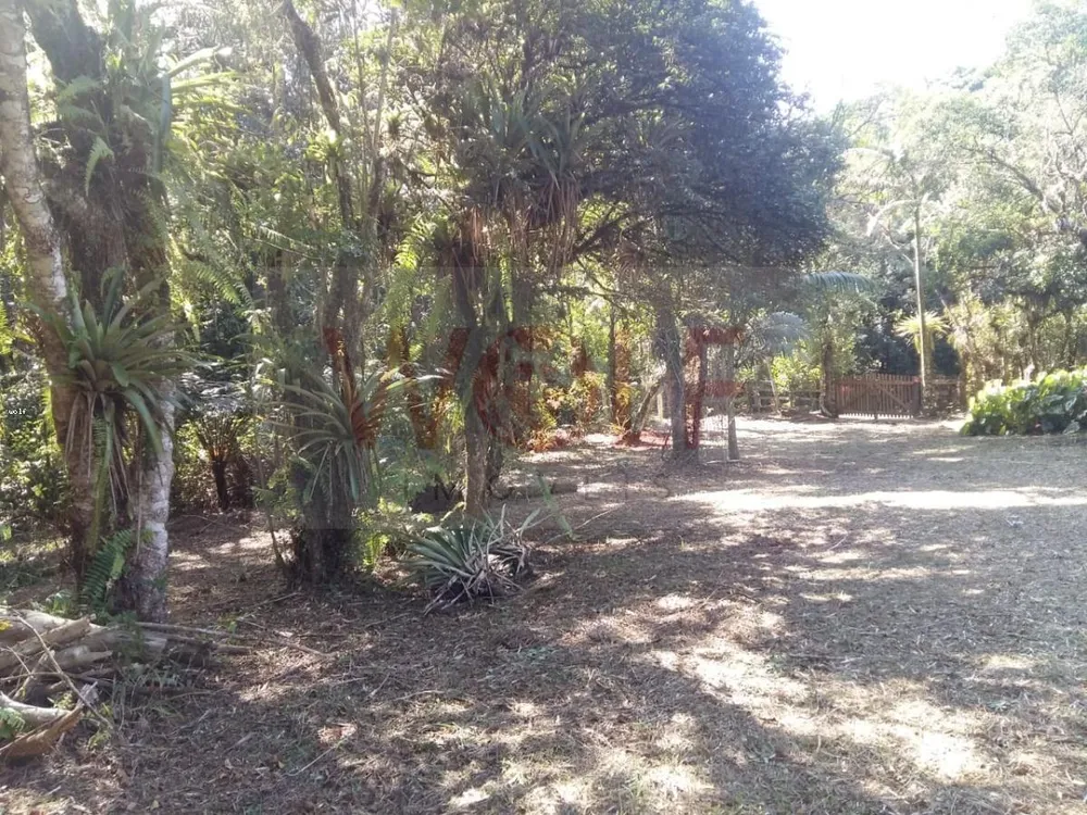 Terreno, 1 hectares - Foto 6