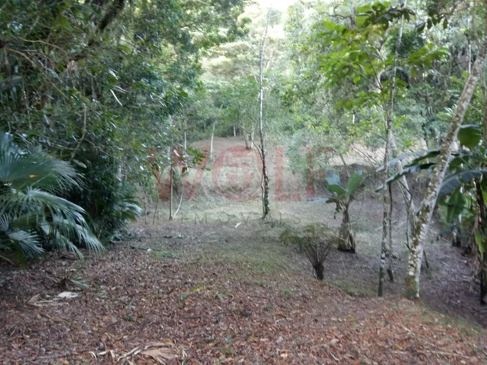 Terreno, 1 hectares - Foto 10