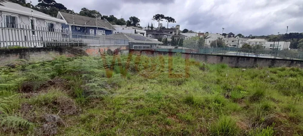 Terreno, 4596 m² - Foto 4