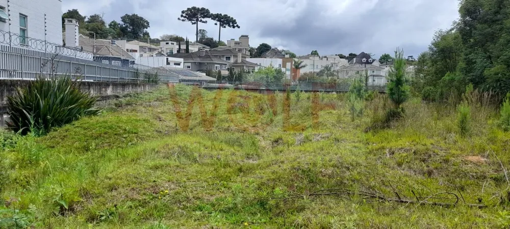 Terreno, 4596 m² - Foto 14