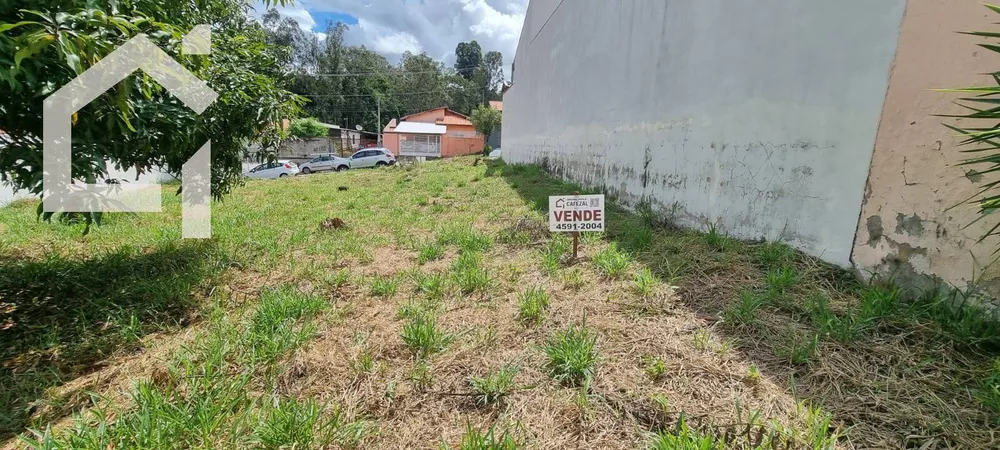 Terreno, 3 hectares - Foto 6