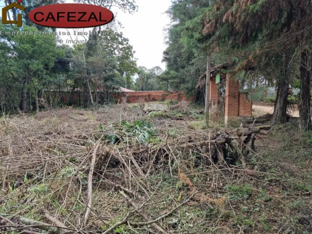 Terreno, 5000 m² - Foto 6