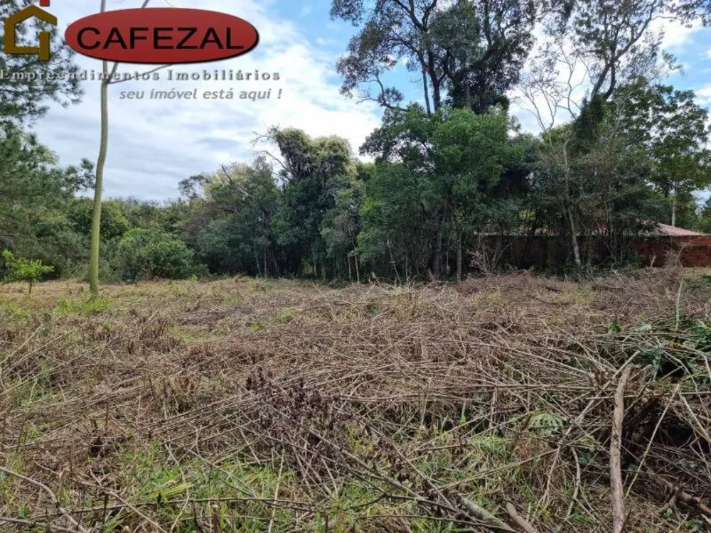 Terreno, 5000 m² - Foto 3