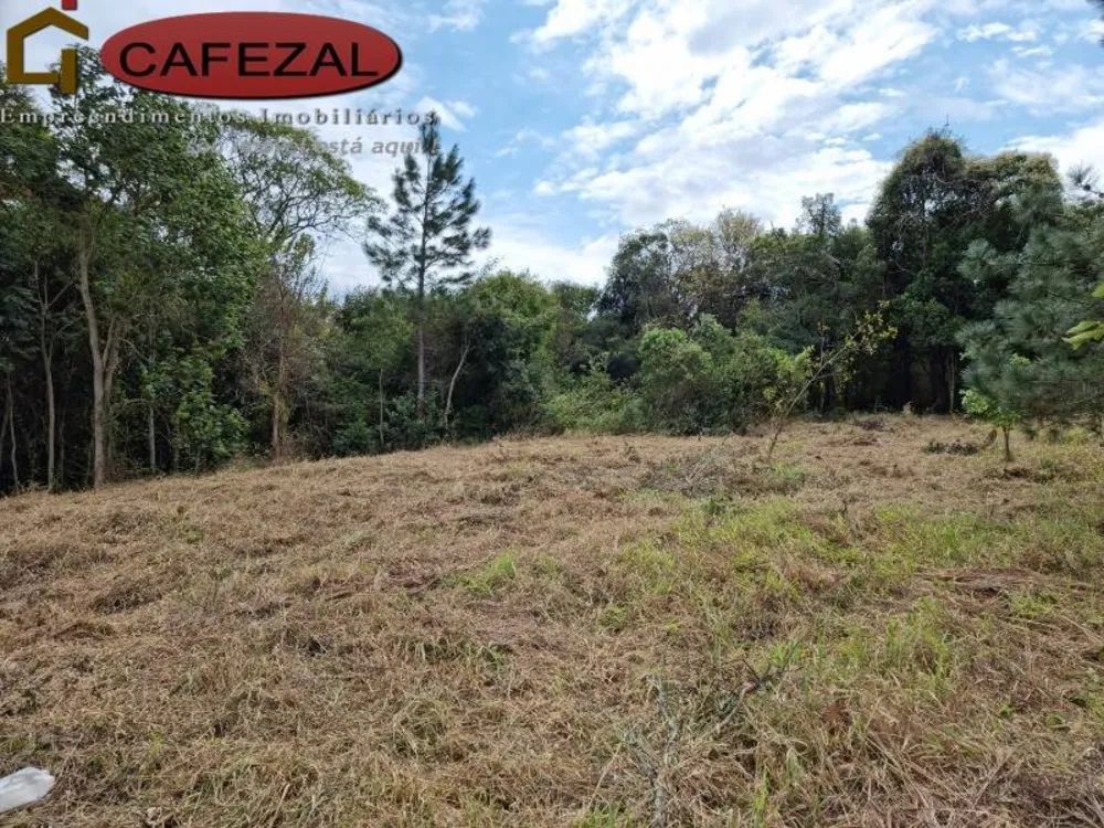 Terreno, 5000 m² - Foto 1
