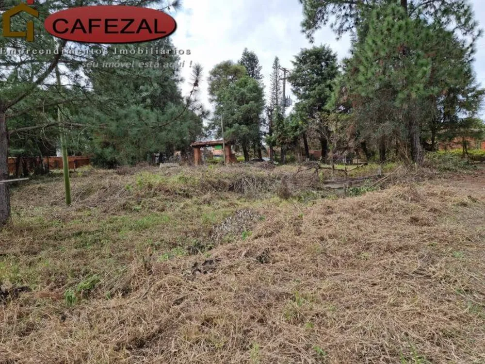 Terreno, 5000 m² - Foto 5