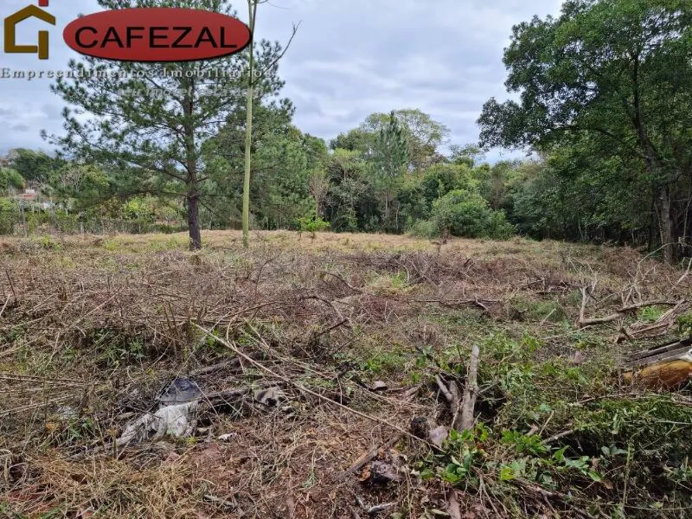 Terreno, 5000 m² - Foto 11
