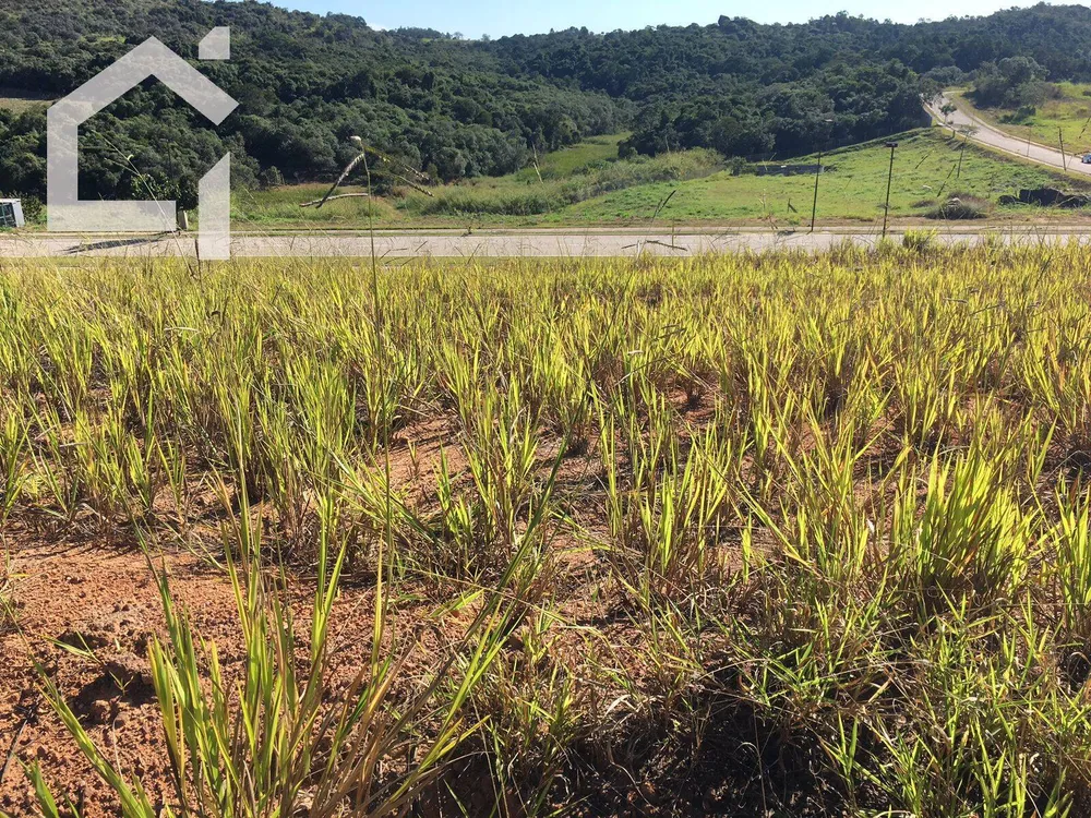 Terreno, 800 m² - Foto 5
