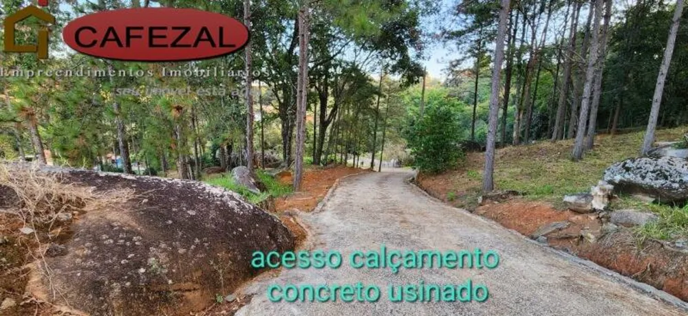 Sítio, 3 quartos, 601 m² - Foto 8