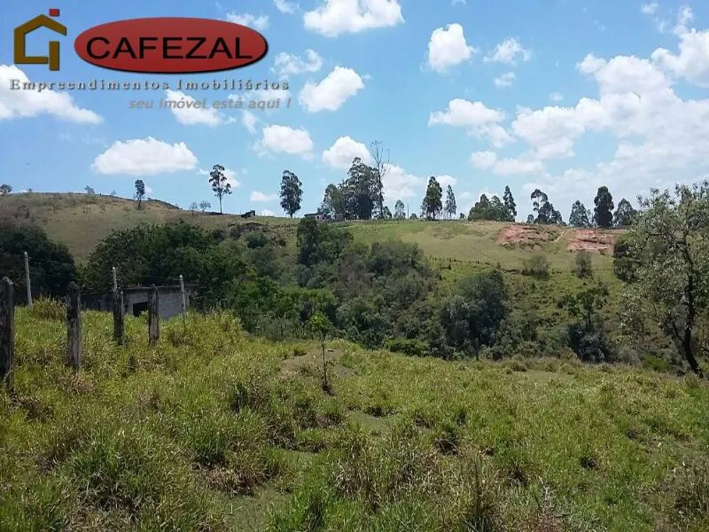 Terreno, 5 hectares - Foto 4