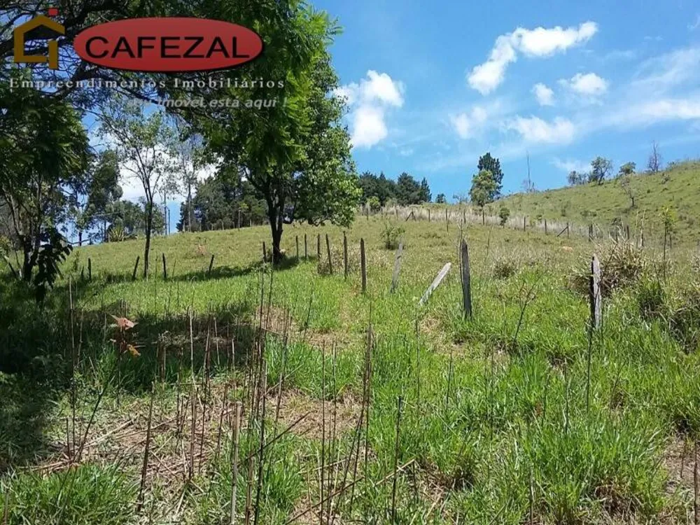 Terreno, 5 hectares - Foto 3