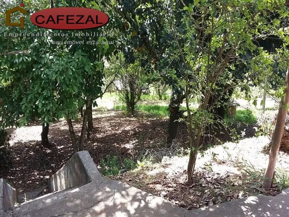Terreno, 5 hectares - Foto 9