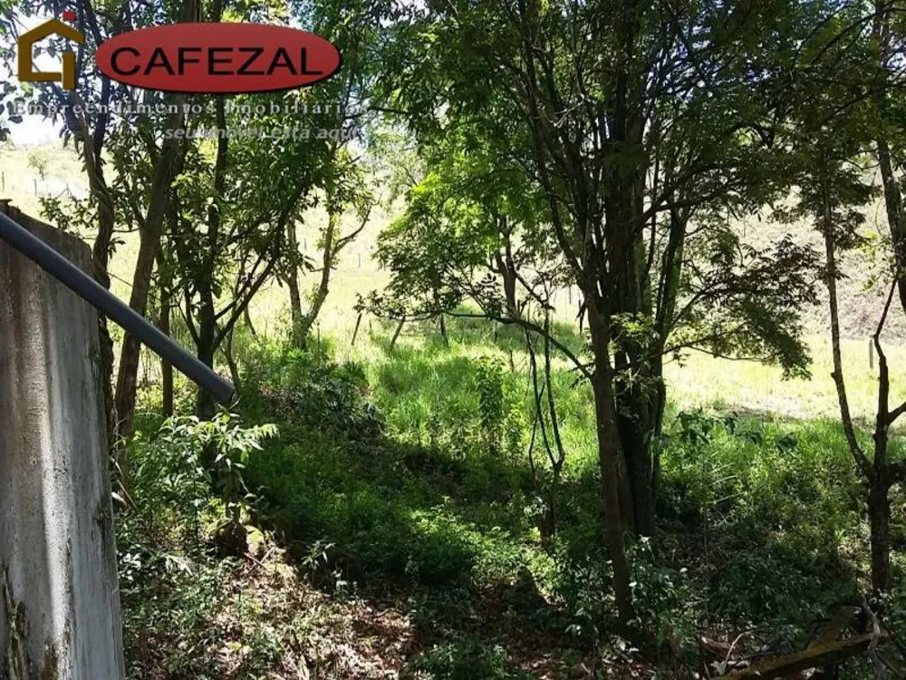 Terreno, 5 hectares - Foto 6