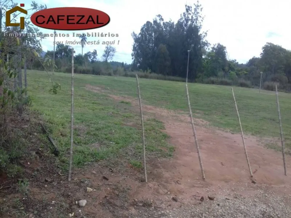 Terreno, 4 hectares - Foto 6