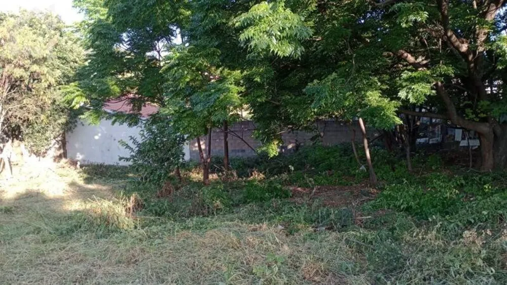 Terreno, 1000 m² - Foto 2