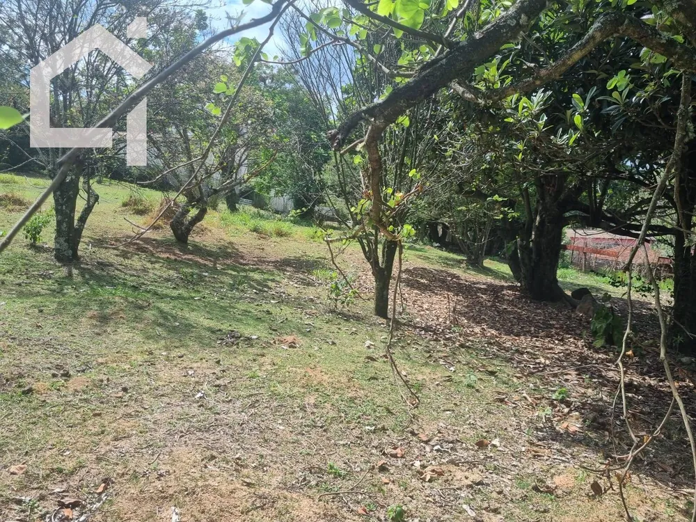 Terreno - Foto 2