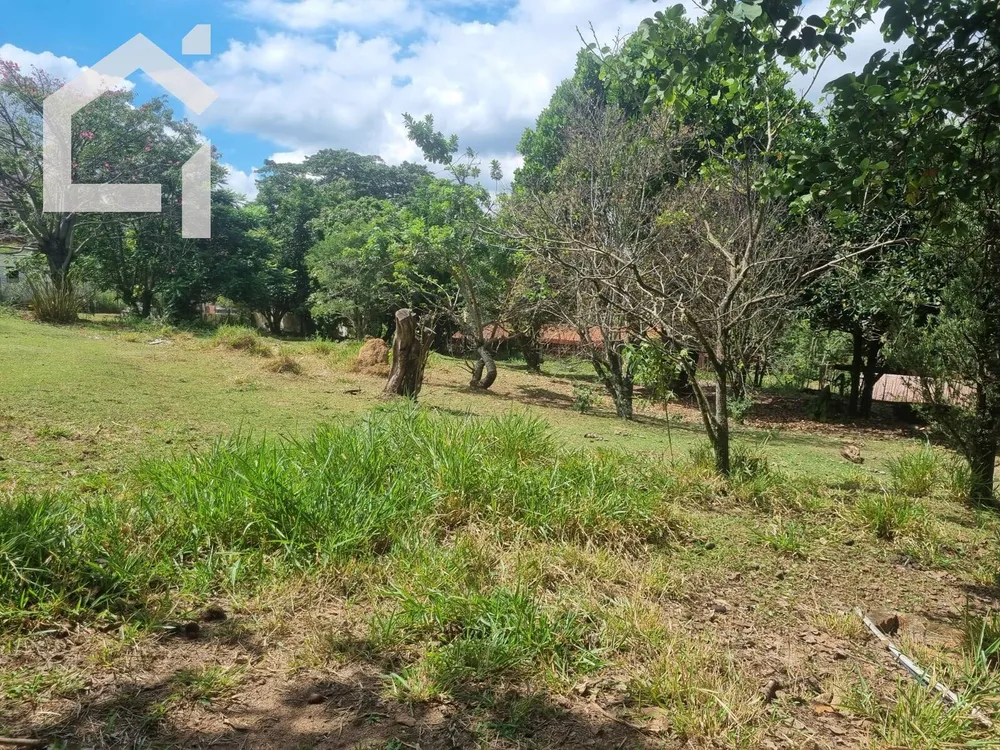 Terreno - Foto 4