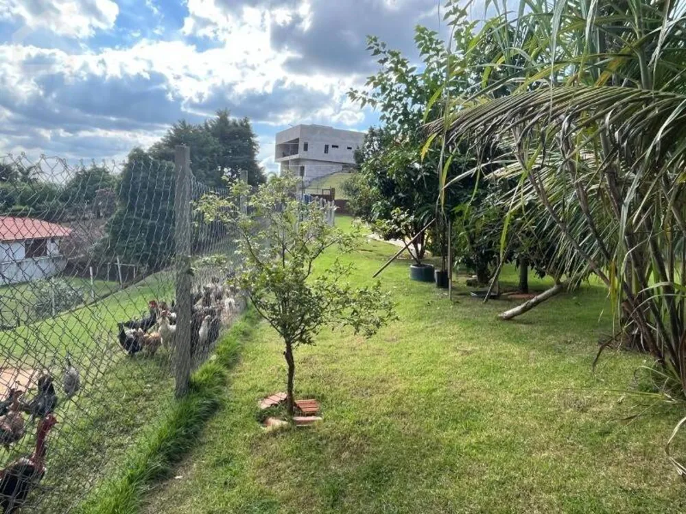 Casa, 4 quartos, 324 m² - Foto 10