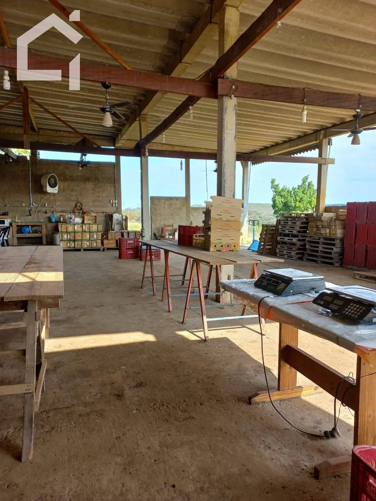 Sítio, 3 quartos, 10 hectares - Foto 4