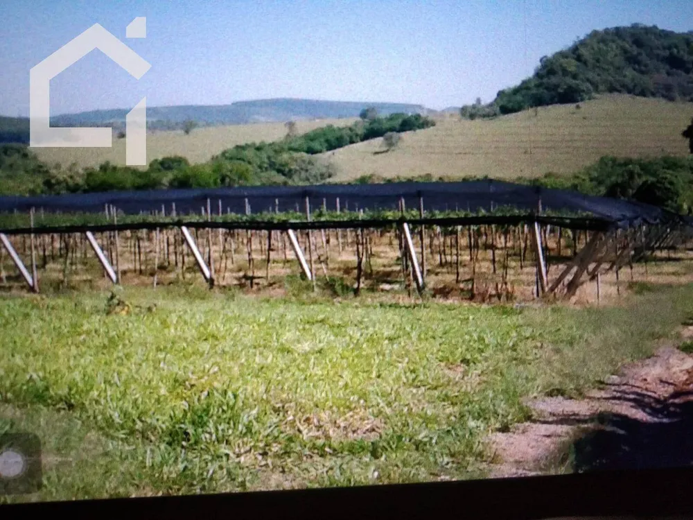 Sítio, 3 quartos, 10 hectares - Foto 9