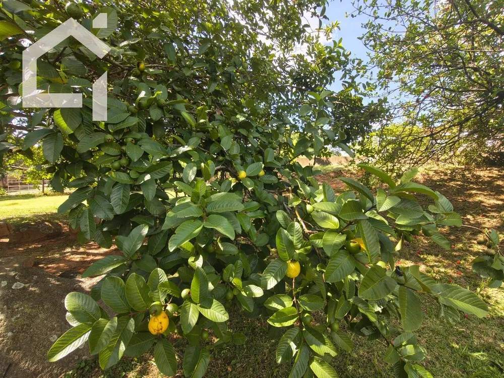 Casa, 3 quartos, 250 m² - Foto 5