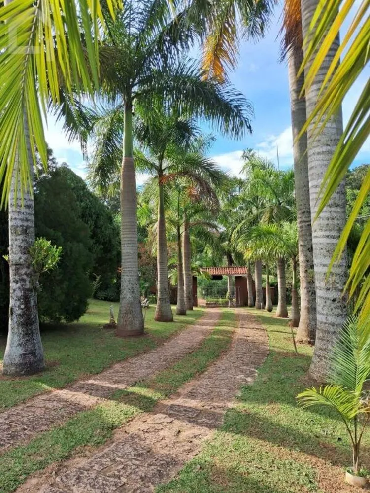 Casa, 3 quartos, 620 m² - Foto 12