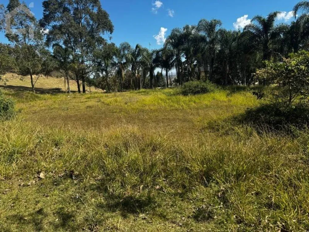 Terreno, 1489 m² - Foto 8
